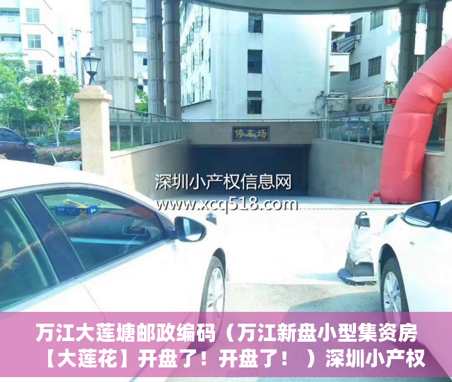 万江大莲塘邮政编码（万江新盘小型集资房【大莲花】开盘了！开盘了！ ）深圳小产权房能坚持多久，