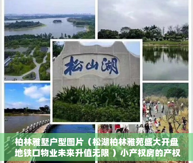 柏林雅墅户型图片（松湖柏林雅苑盛大开盘 地铁口物业未来升值无限 ）小产权房的产权是多久，