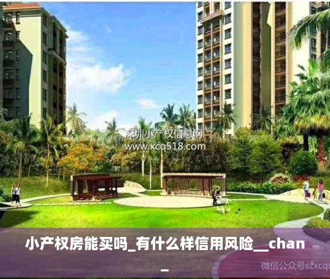 小产权房能买吗_有什么样信用风险__chan_