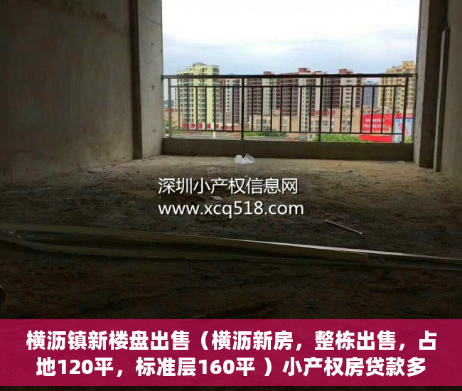 横沥镇新楼盘出售（横沥新房，整栋出售，占地120平，标准层160平 ）小产权房贷款多久能放款，