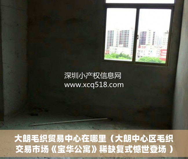 大朗毛织贸易中心在哪里（大朗中心区毛织交易市场《宝华公寓》稀缺复式憾世登场 ）什么是小产权房要多久才能过户，