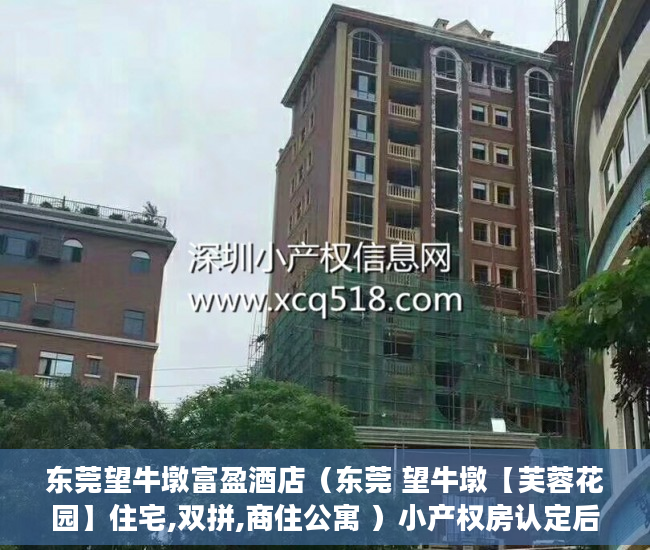 东莞望牛墩富盈酒店（东莞 望牛墩【芙蓉花园】住宅,双拼,商住公寓 ）小产权房认定后怎么办，