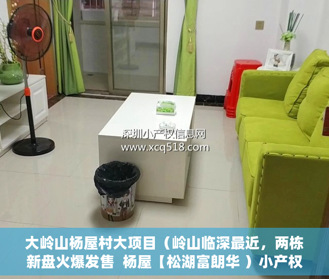 大岭山杨屋村大项目（岭山临深最近，两栋新盘火爆发售  杨屋【松湖富朗华 ）小产权分割商铺能用多久，