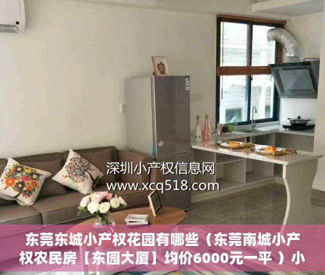 东莞东城小产权花园有哪些（东莞南城小产权农民房【东园大厦】均价6000元一平 ）小产权选房后多久交房款，