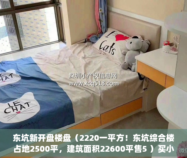 东坑新开盘楼盘（2220一平方！东坑综合楼占地2500平，建筑面积22600平售5 ）买小产权房子多久可以卖，