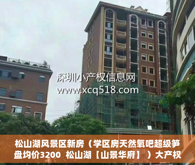 松山湖风景区新房（学区房天然氧吧超级笋盘均价3200  松山湖【山景华府】 ）大产权证拿到后多久能拿到小产权证，
