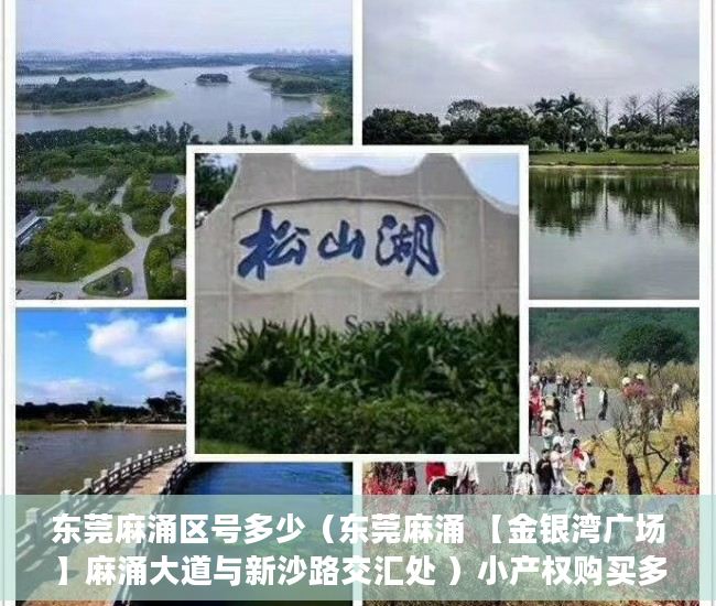 东莞麻涌区号多少（东莞麻涌 【金银湾广场】麻涌大道与新沙路交汇处 ）小产权购买多久可以出售，