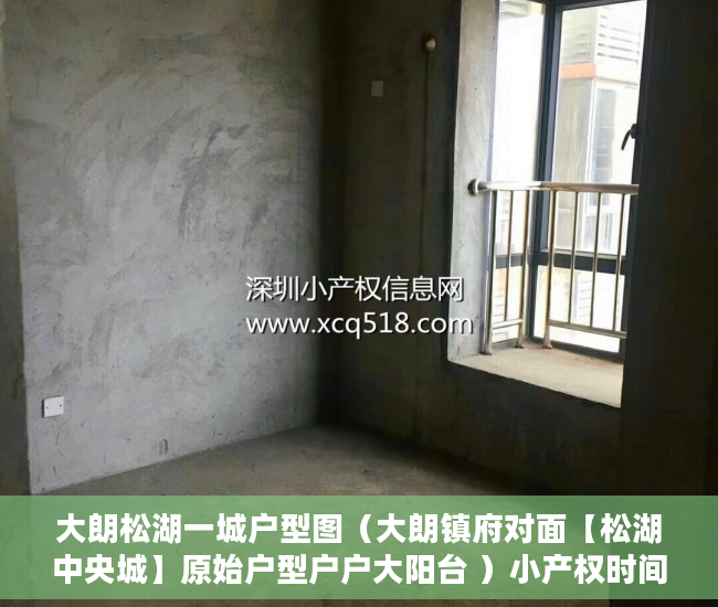大朗松湖一城户型图（大朗镇府对面【松湖中央城】原始户型户户大阳台 ）小产权时间多久，