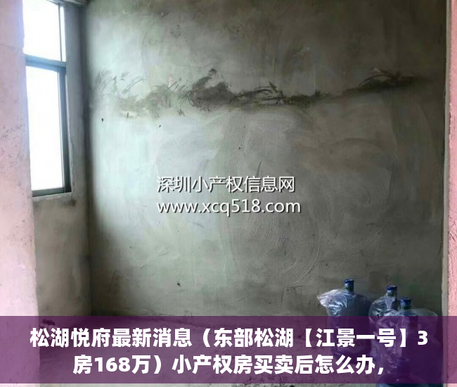松湖悦府最新消息（东部松湖【江景一号】3房168万）小产权房买卖后怎么办，