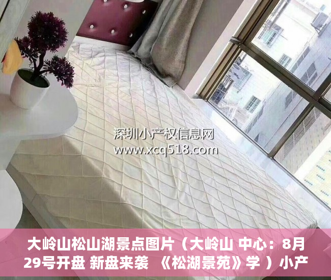 大岭山松山湖景点图片（大岭山 中心：8月29号开盘 新盘来袭  《松湖景苑》学 ）小产权房国家怎么处理，