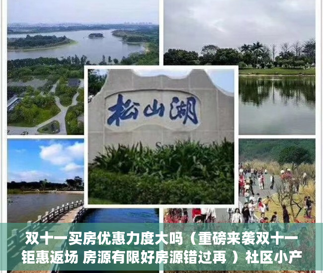 双十一买房优惠力度大吗（重磅来袭双十一钜惠返场 房源有限好房源错过再 ）社区小产权房多久能办房产证，