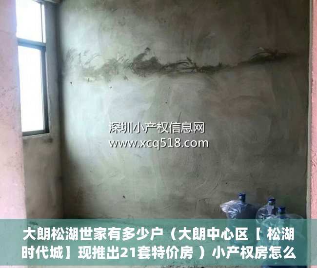 大朗松湖世家有多少户（大朗中心区【 松湖时代城】现推出21套特价房 ）小产权房怎么找，