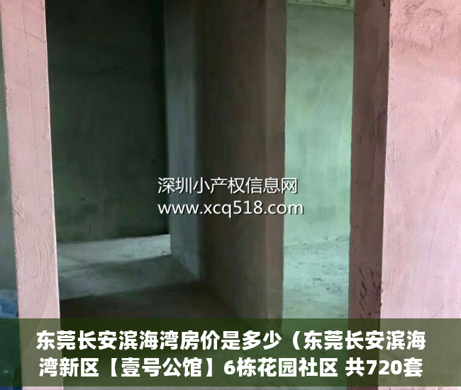 东莞长安滨海湾房价是多少（东莞长安滨海湾新区【壹号公馆】6栋花园社区 共720套 ）x小产权能住多久，