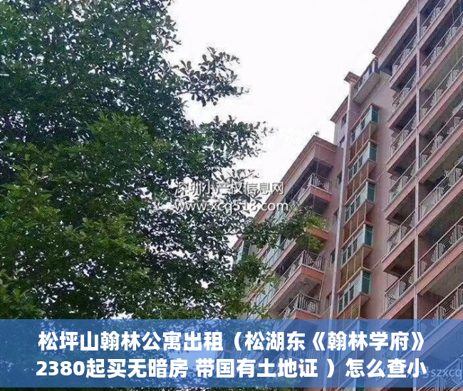 松坪山翰林公寓出租（松湖东《翰林学府》2380起买无暗房 带国有土地证 ）怎么查小产权房，