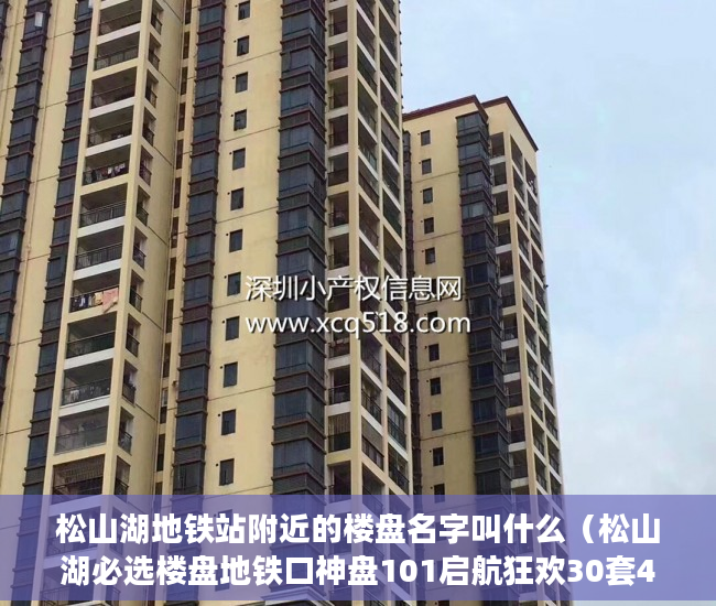 松山湖地铁站附近的楼盘名字叫什么（松山湖必选楼盘地铁口神盘101启航狂欢30套4580元㎡秒 ）小产权会持续多久，