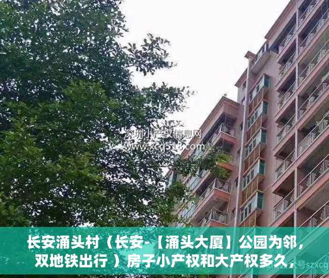 长安涌头村（长安-【涌头大厦】公园为邻，双地铁出行 ）房子小产权和大产权多久，