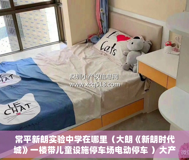 常平新朗实验中学在哪里（大朗《新朗时代城》一楼带儿童设施停车场电动停车 ）大产权证下来了小产权证要多久，