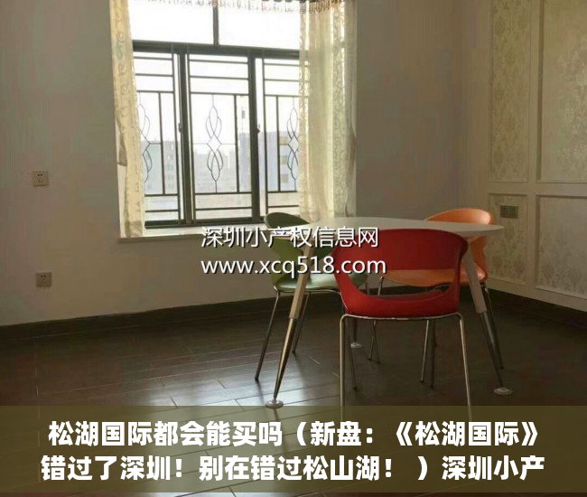 松湖国际都会能买吗（新盘：《松湖国际》错过了深圳！别在错过松山湖！ ）深圳小产权房产证多久能办下来，