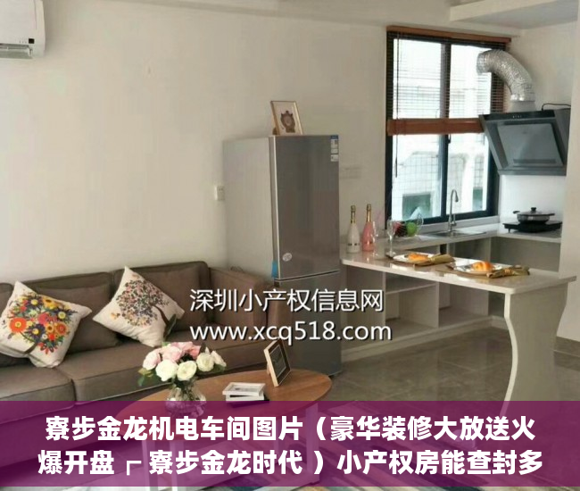 寮步金龙机电车间图片（豪华装修大放送火爆开盘┏ 寮步金龙时代 ）小产权房能查封多久，