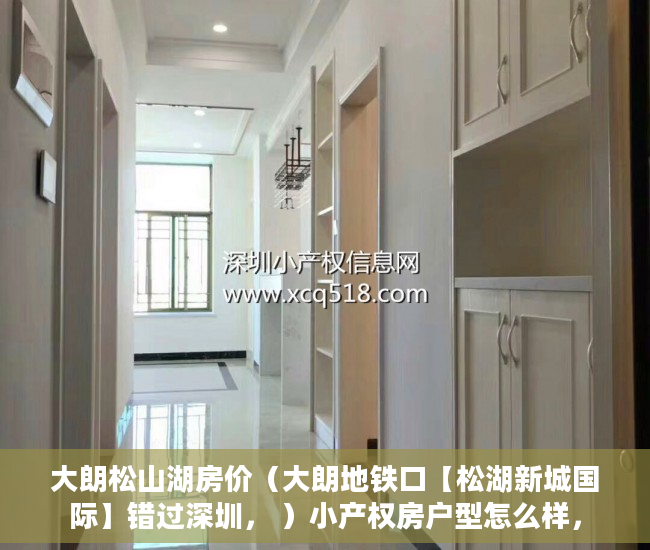 大朗松山湖房价（大朗地铁口【松湖新城国际】错过深圳， ）小产权房户型怎么样，