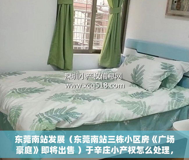 东莞南站发展（东莞南站三栋小区房《广场豪庭》即将出售 ）于辛庄小产权怎么处理，