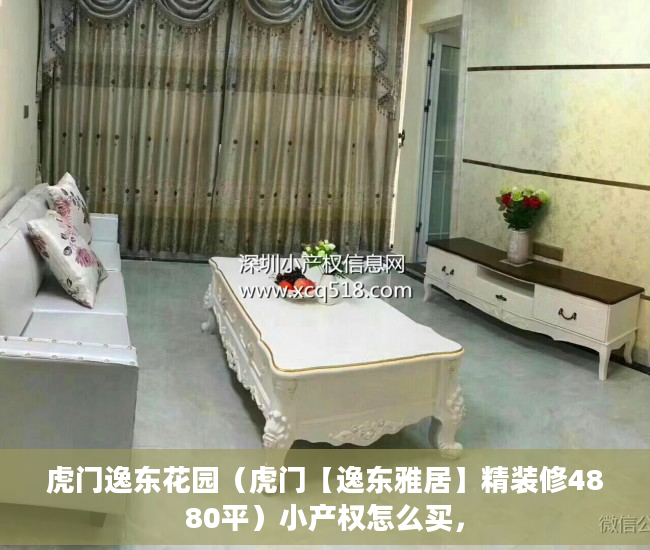 虎门逸东花园（虎门【逸东雅居】精装修4880平）小产权怎么买，