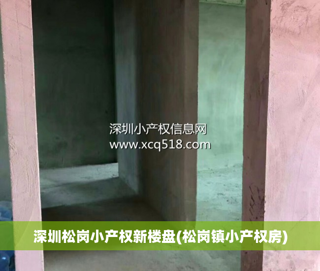 深圳松岗小产权新楼盘(松岗镇小产权房)