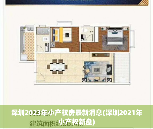 深圳2023年小产权房最新消息(深圳2021年小产权新盘)