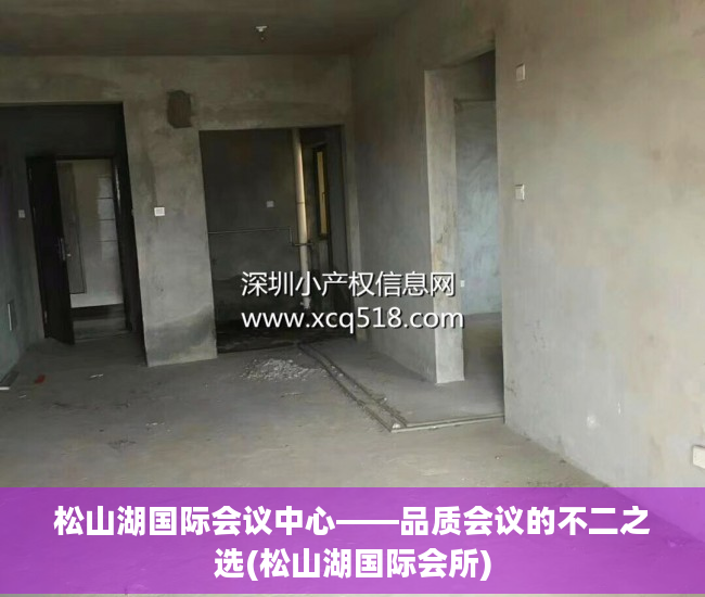 松山湖国际会议中心——品质会议的不二之选(松山湖国际会所)
