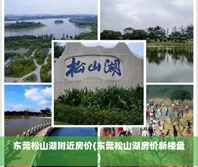 东莞松山湖附近房价(东莞松山湖房价新楼盘)