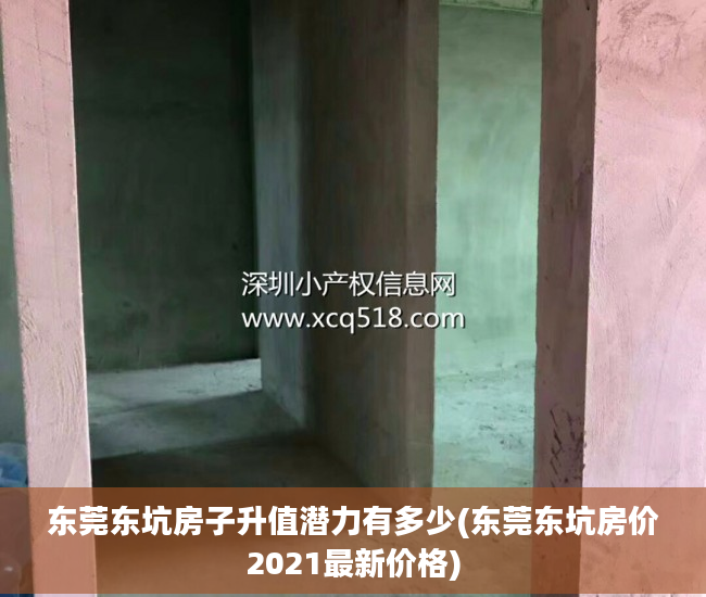 东莞东坑房子升值潜力有多少(东莞东坑房价2021最新价格)