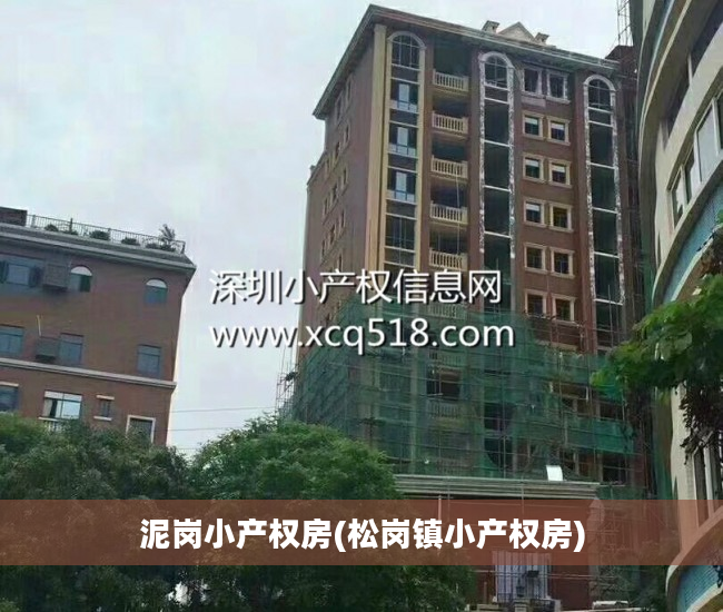 泥岗小产权房(松岗镇小产权房)