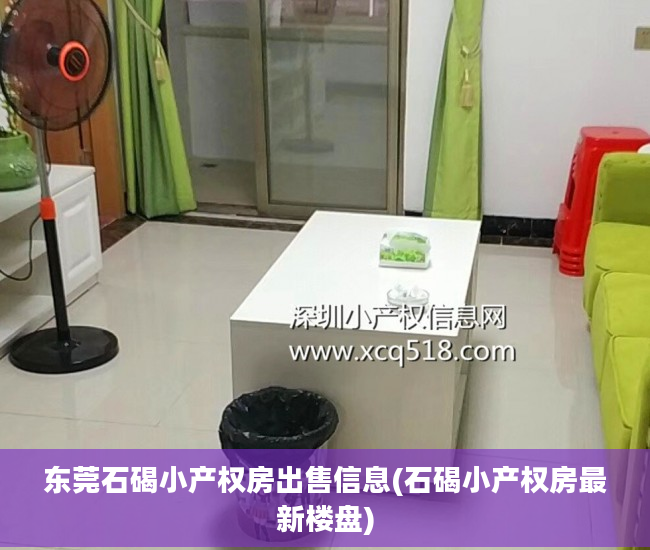 东莞石碣小产权房出售信息(石碣小产权房最新楼盘)
