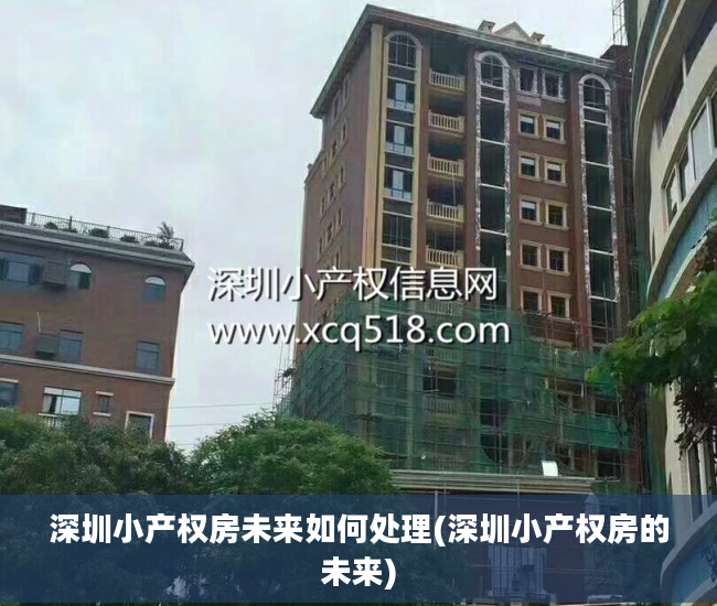 深圳小产权房未来如何处理(深圳小产权房的未来)