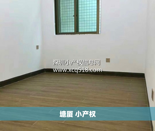 塘厦 小产权