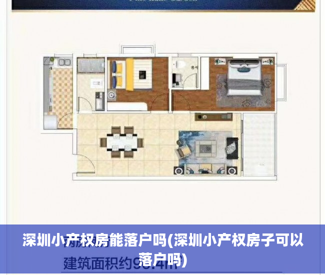 深圳小产权房能落户吗(深圳小产权房子可以落户吗)