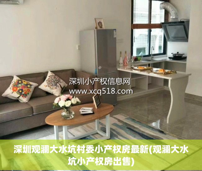 深圳观澜大水坑村委小产权房最新(观澜大水坑小产权房出售)