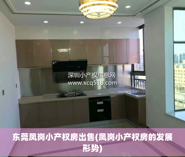 东莞凤岗小产权房出售(凤岗小产权房的发展形势)