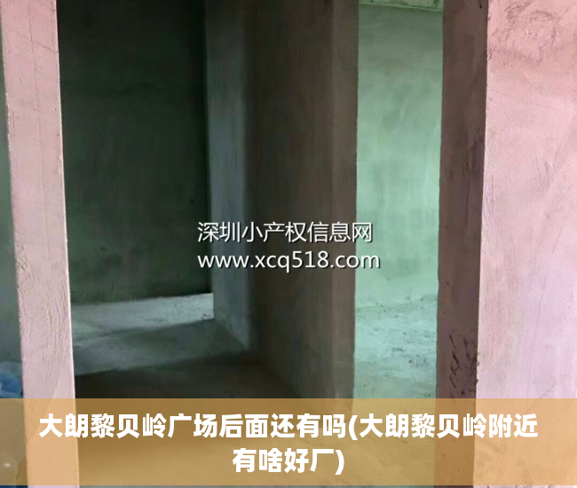 大朗黎贝岭广场后面还有吗(大朗黎贝岭附近有啥好厂)