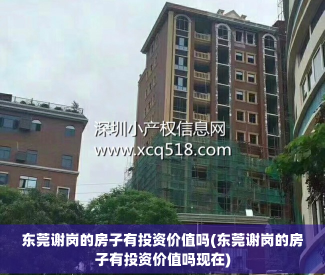 东莞谢岗的房子有投资价值吗(东莞谢岗的房子有投资价值吗现在)