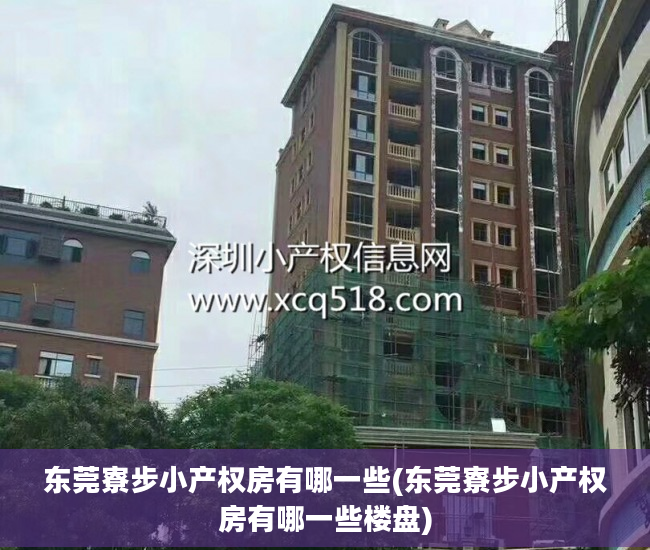 东莞寮步小产权房有哪一些(东莞寮步小产权房有哪一些楼盘)