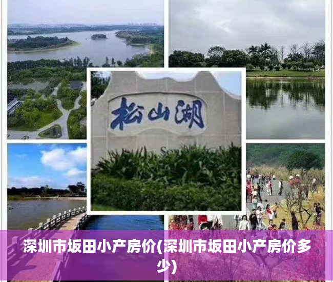 深圳市坂田小产房价(深圳市坂田小产房价多少)