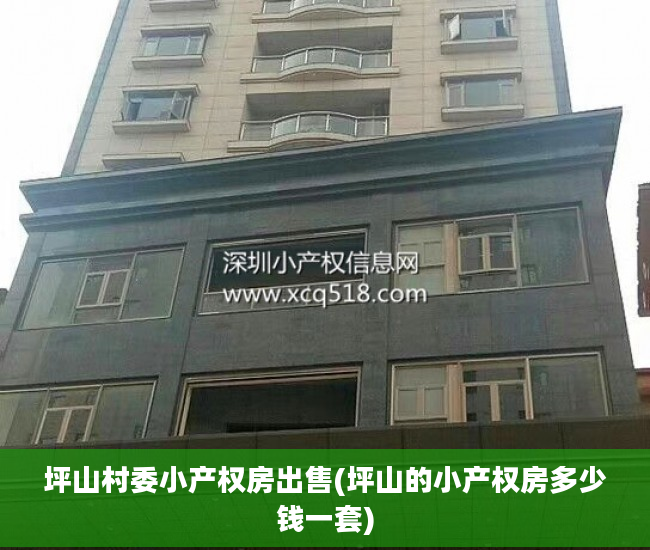 坪山村委小产权房出售(坪山的小产权房多少钱一套)
