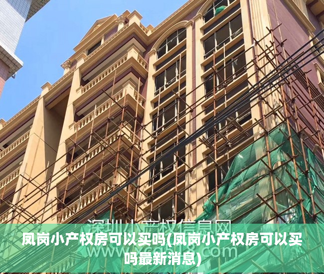 凤岗小产权房可以买吗(凤岗小产权房可以买吗最新消息)