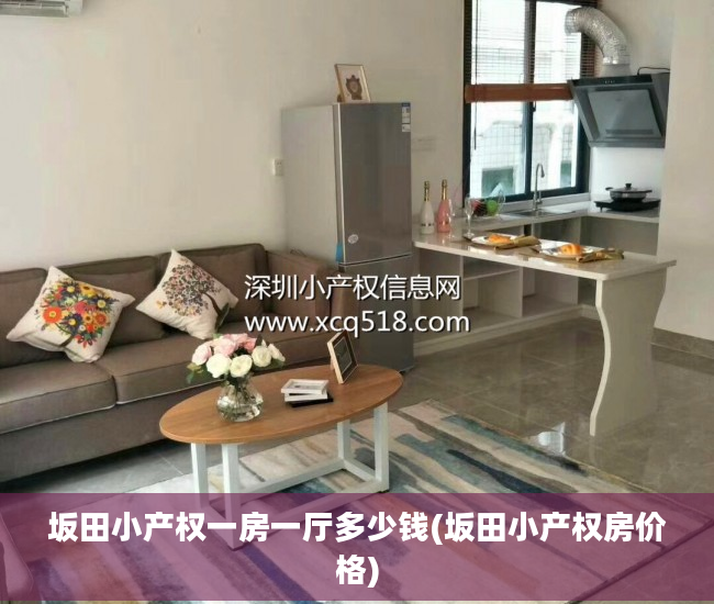 坂田小产权一房一厅多少钱(坂田小产权房价格)