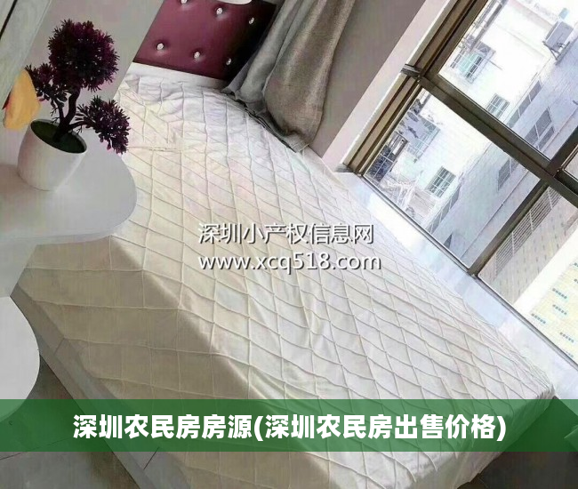 深圳农民房房源(深圳农民房出售价格)