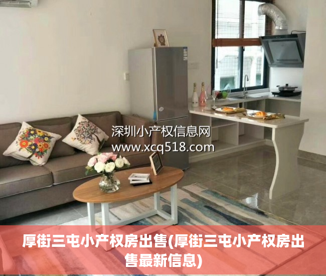 厚街三屯小产权房出售(厚街三屯小产权房出售最新信息)