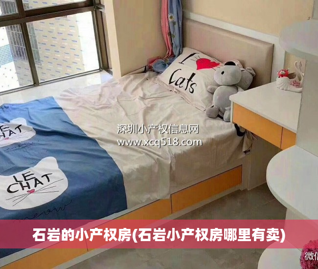 石岩的小产权房(石岩小产权房哪里有卖)