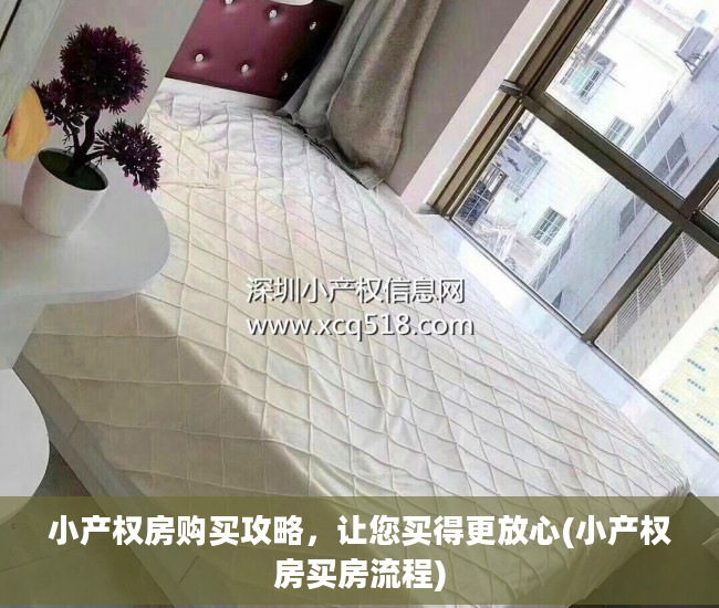 小产权房购买攻略，让您买得更放心(小产权房买房流程)