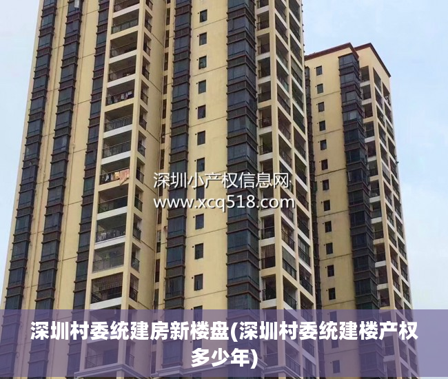 深圳村委统建房新楼盘(深圳村委统建楼产权多少年)